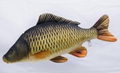 GABY - The Common Carp "Karper" Pillow GABY - The Common Carp "Karper" Pillow