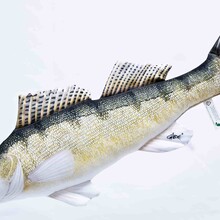 The Zander "Snoekbaars"