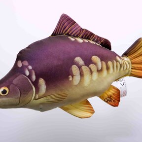 The Carp "Spiegelkarper"