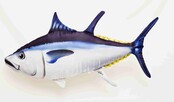 GABY - The Giant Atlantic Bluefin Tuna 100cm Pillow GABY - The Giant Atlantic Bluefin Tuna 100cm Pillow