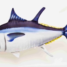 The Giant Atlantic Bluefin Tuna