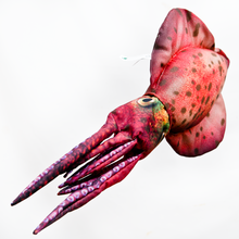 The Squid "Inktvis"