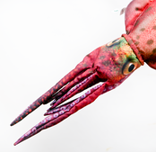 GABY - The Squid "Inktvis" Pillow 76cm