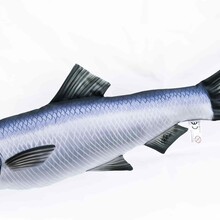 The Herring