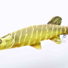 The Pike "Snoek"
