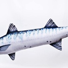 The Barracuda