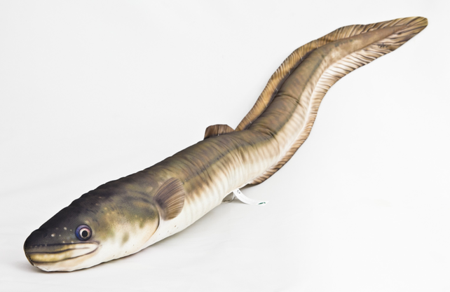 GABY - The Eel "Paling" 115cm Pillow
