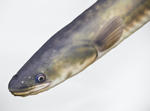 GABY - The Eel "Paling" 115cm Pillow