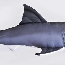 The Smalle Great White Shark