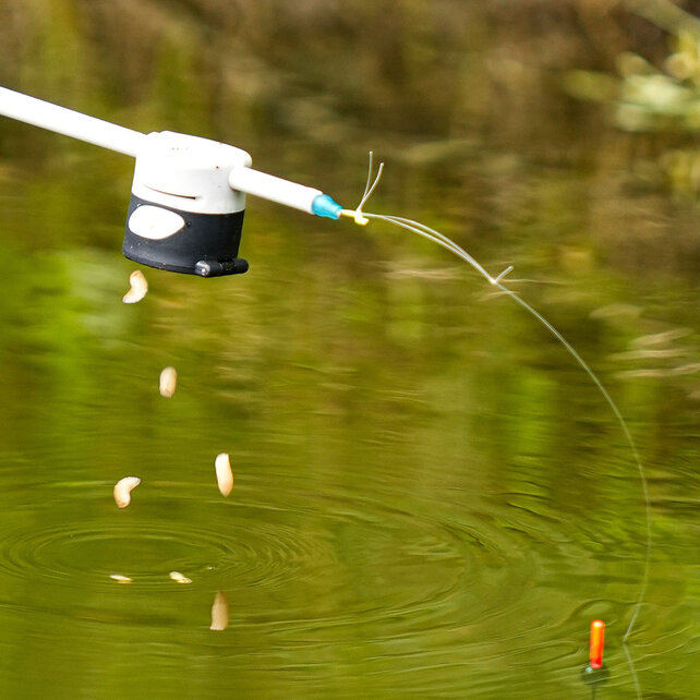 CRESTA - Magna Pot Medium