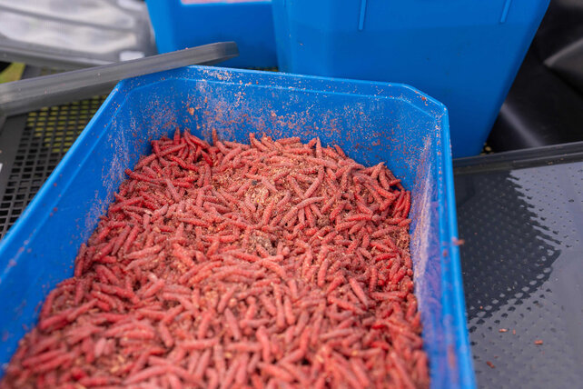 PRESTON - Bait Tub 6Pint / 3,4L PRESTON - Bait Tub 6Pint / 3,4L