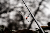 SONIK - Gravity Carp Rods SONIK - Gravity Carp Rods