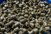 SONUBAITS - Marine Green Feed Pellets