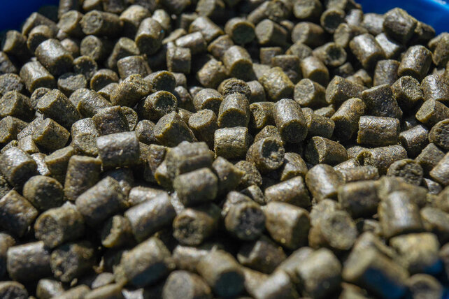 SONUBAITS - Marine Green Feed Pellets