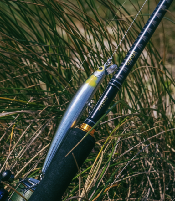 DAIWA - Legalis Seabass DAIWA - Legalis Seabass