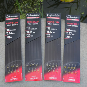 Pro Commercial Power Carp Eyed Ready Rigs Banded