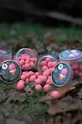 CUYTEN  - Fruity Icecream Wafters