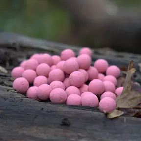 Fruity Icecream Boilies