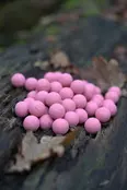 CUYTEN - Fruity Icecream Boilies 1kg CUYTEN - Fruity Icecream Boilies 1kg