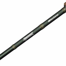 Beast X2 Spinning Rod