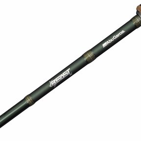 Beast X2 Spinning Rod