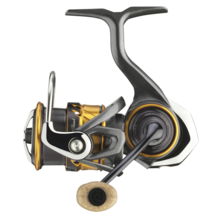 Silver Creek MQ LT