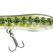 Chug Norris 50 Popper