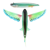 NOMAD DESIGN - Slipstream 140 Flying Fish NOMAD DESIGN - Slipstream 140 Flying Fish