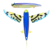 NOMAD DESIGN - Slipstream 140 Flying Fish NOMAD DESIGN - Slipstream 140 Flying Fish