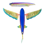 NOMAD DESIGN - Slipstream 140 Flying Fish NOMAD DESIGN - Slipstream 140 Flying Fish