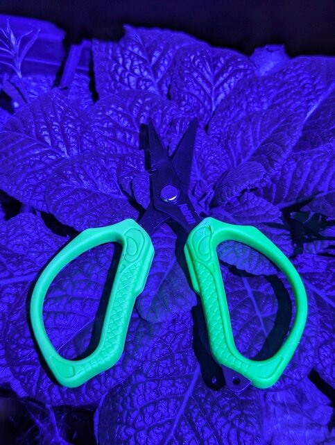 KATRAN - Braid Scissors