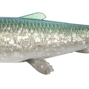 3D Herring Shad V2 17,5cm