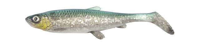 SAVAGE GEAR - 3D Herring Shad 21,5cm V2 21,5cm