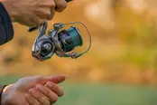 DAIWA - 25 Caldia LT DAIWA - 25 Caldia LT