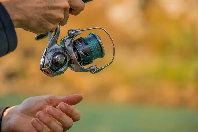 DAIWA - 25 Caldia LT DAIWA - 25 Caldia LT