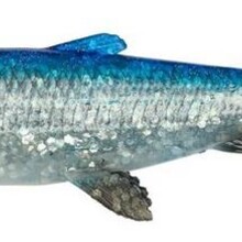 3D Herring Shad V2 28cm 150gr
