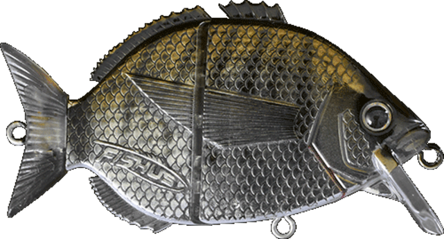 FISHUS - Esparrall FISHUS - Esparrall