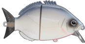 FISHUS - Esparrall FISHUS - Esparrall