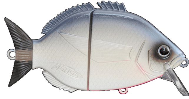 FISHUS - Esparrall FISHUS - Esparrall