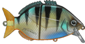 FISHUS - Esparrall FISHUS - Esparrall