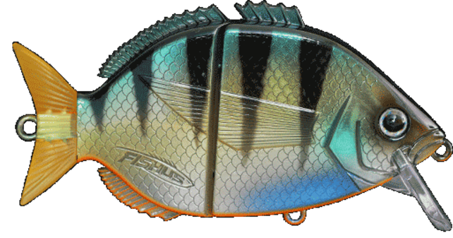 FISHUS - Esparrall FISHUS - Esparrall