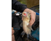 SONUBAITS - Spike'um Wafter SONUBAITS - Spike'um Wafter