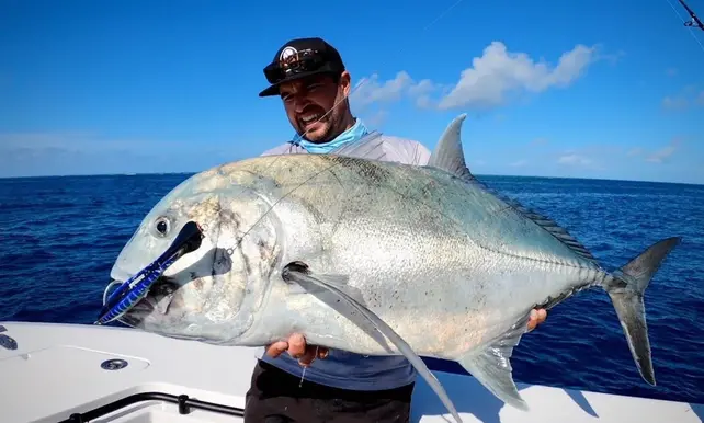 NOMAD DESIGN - Dartwing 165 FLT