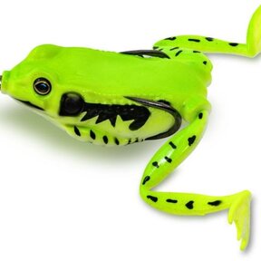 Top Frog