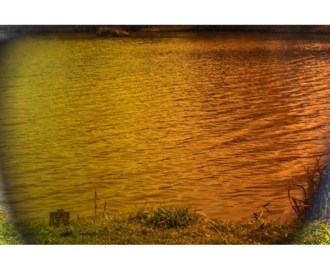 PRESTON - Absolute Wrap Sunglasses Amber Brown