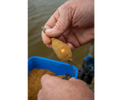 SONUBAITS -  Mega Carp Method Mix  2kg