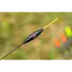 Preston Preston F1 XS Pole Float