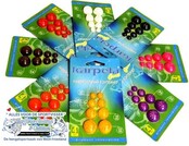 KARPELA CONTAINERS – BLISTERVERPAKKING