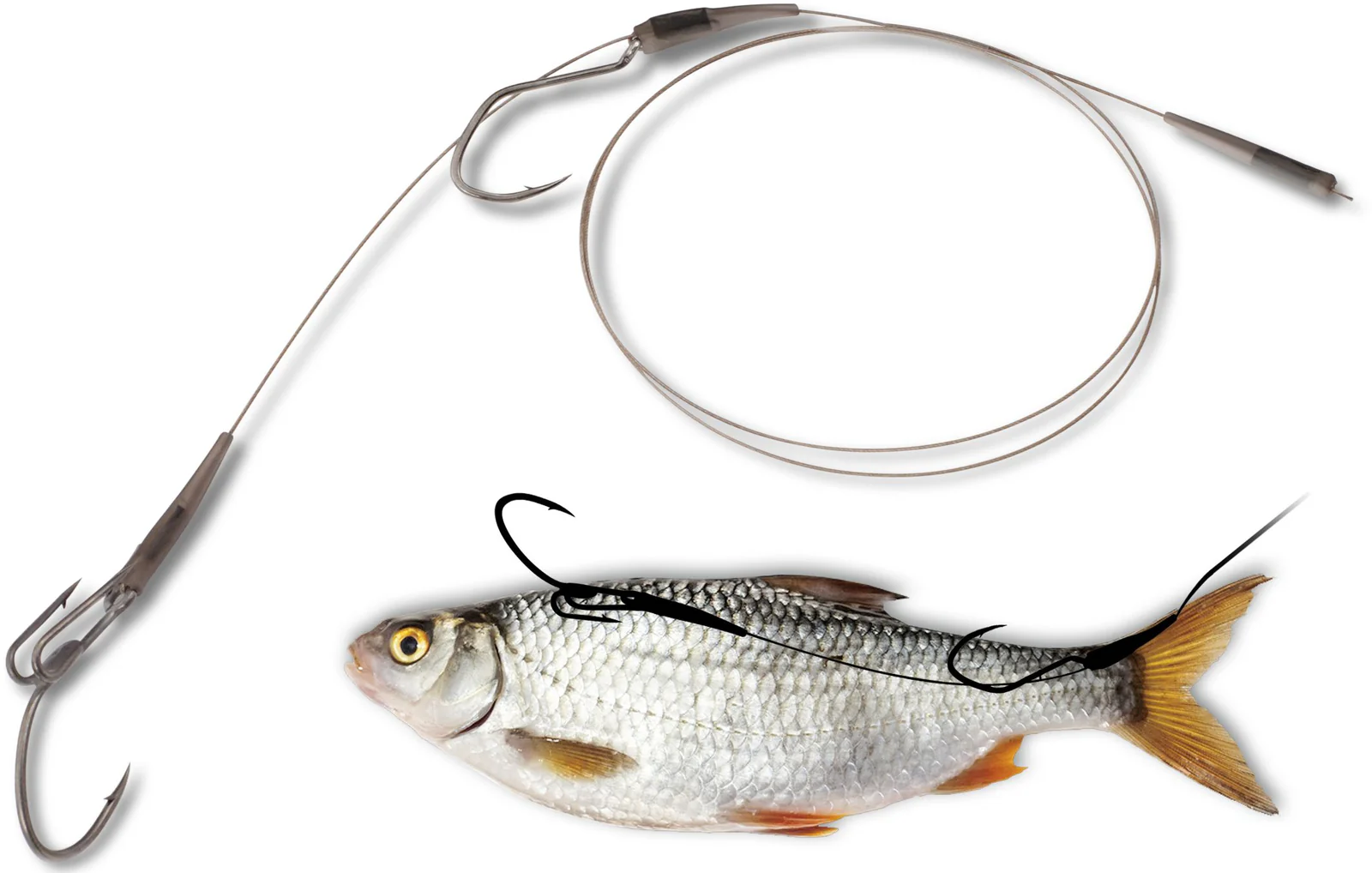 Pike Rig Spring MR. PIKE RIG LEADER