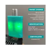 Dlyfull LIR425 Charger Kit Rechargeable LED Battery